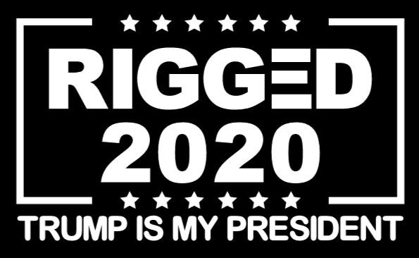 Anti-Biden Rigged 2020 decal